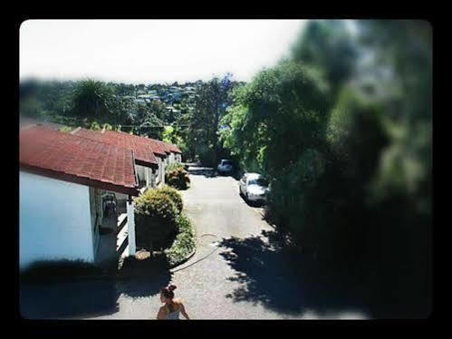 Browns Bay Olive Tree Motel & Apartment Okura Bush Bagian luar foto